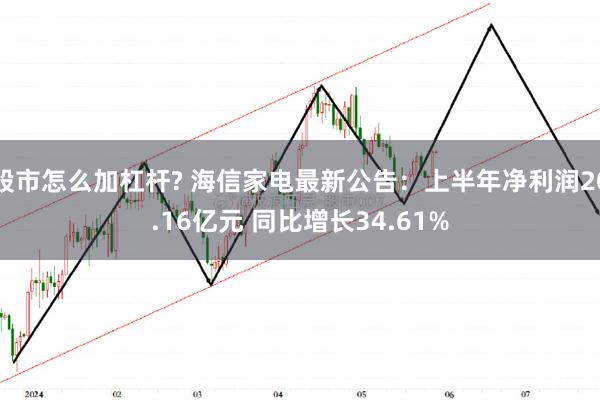 股市怎么加杠杆? 海信家电最新公告：上半年净利润20.16亿元 同比增长34.61%