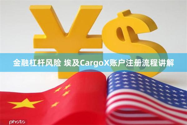 金融杠杆风险 埃及CargoX账户注册流程讲解