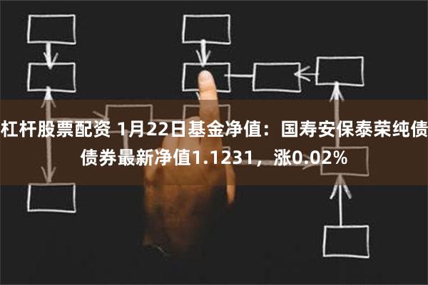 杠杆股票配资 1月22日基金净值：国寿安保泰荣纯债债券最新净值1.1231，涨0.02%